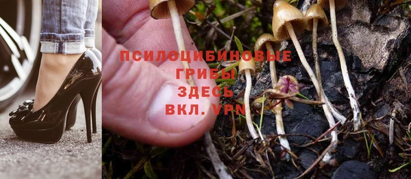 героин Абаза