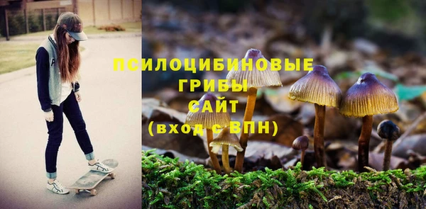 СК Алексеевка